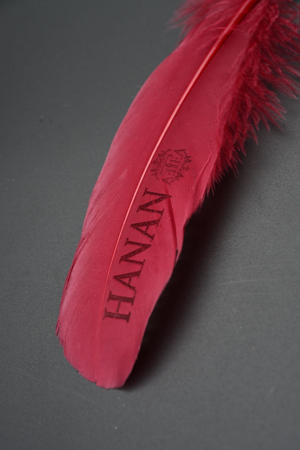 Red feather engraved with the name Hanan